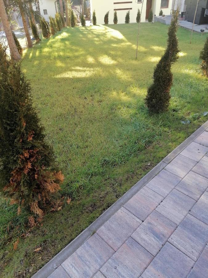 Forest Andrijana Zlatibor Extérieur photo